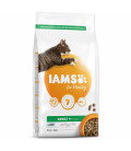 IAMS for Vitality Adult Cat Food with Ocean Fish 2kg