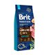 BRIT Premium by Nature Sensitive Lamb 15kg